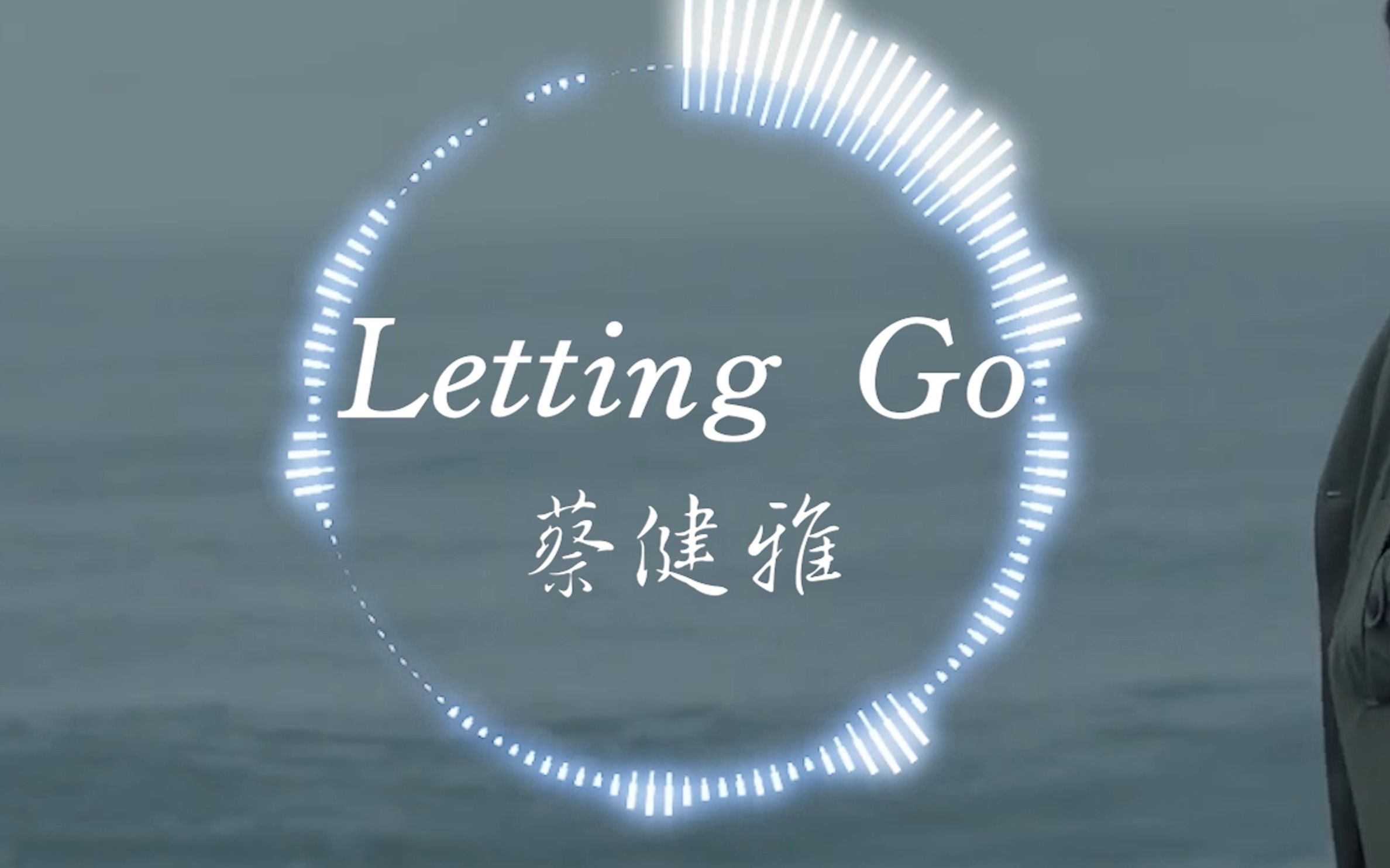 放下吧 【HiRes无损】蔡健雅《Letting Go》“I'm letting go 我终于舍得为你放开手”| 音乐可视化 | 动态歌词哔哩哔哩bilibili