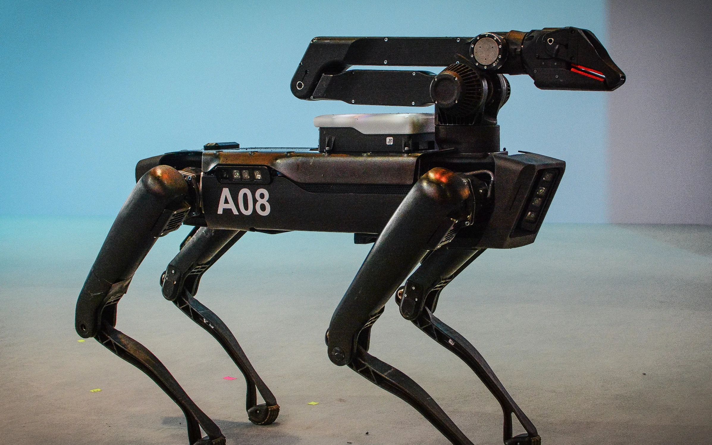 robotic dog