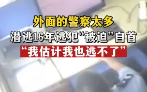 Download Video: 路上都是警察！潜逃16年逃犯“被迫”自首：宜昌警察太多，我估计我也逃不了。