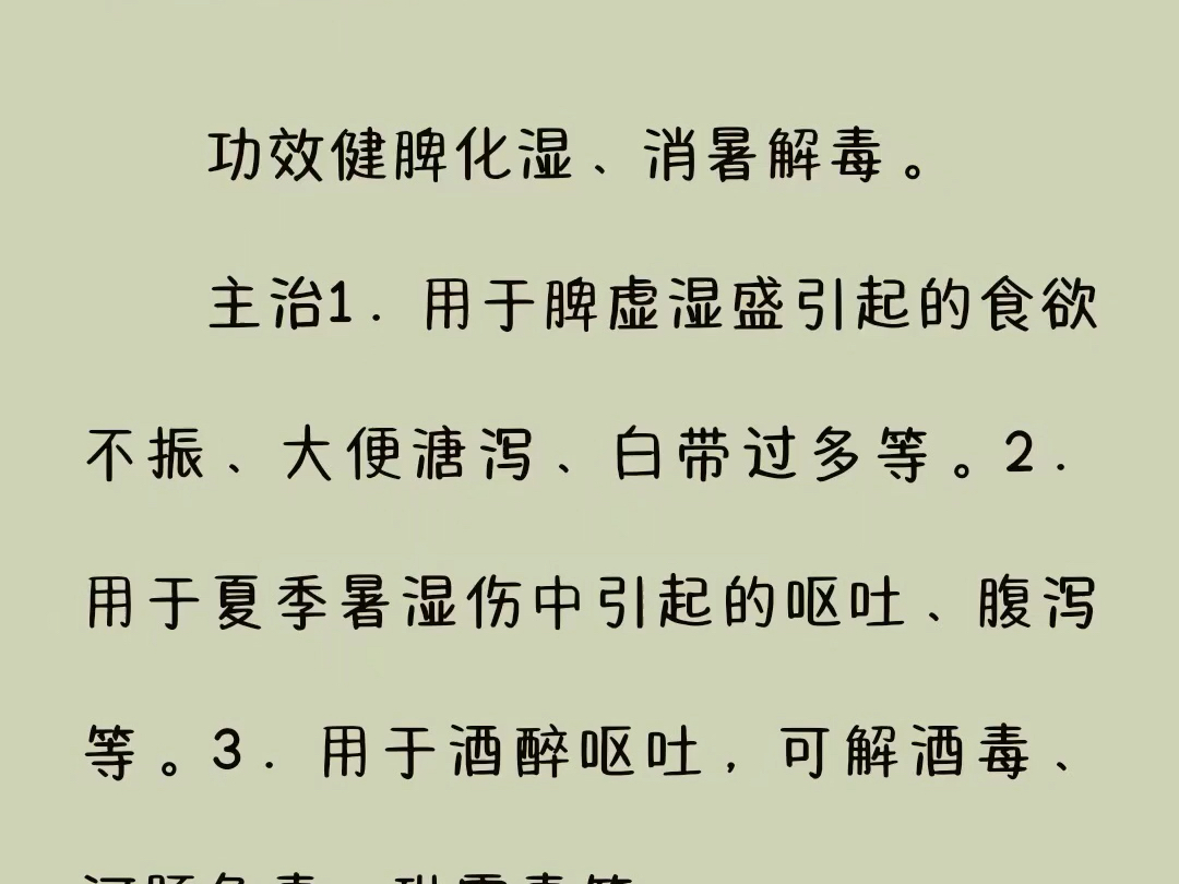 了解中药白扁豆的功效与作用