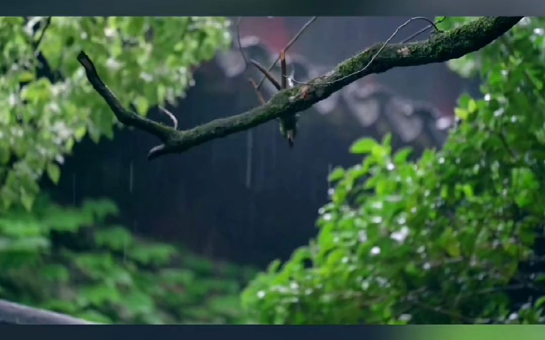 纵然繁华三千,看淡即是云烟,任凭烦恼无数,想开便是晴天.