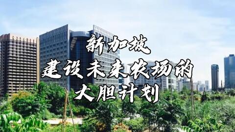 世界城市 为什么美国设计得糟糕 哔哩哔哩 Bilibili