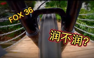 Download Video: Fox 36工作状态，超级润，一起来跟我体验一下吧！