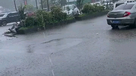 [图]雨不停歇。。。