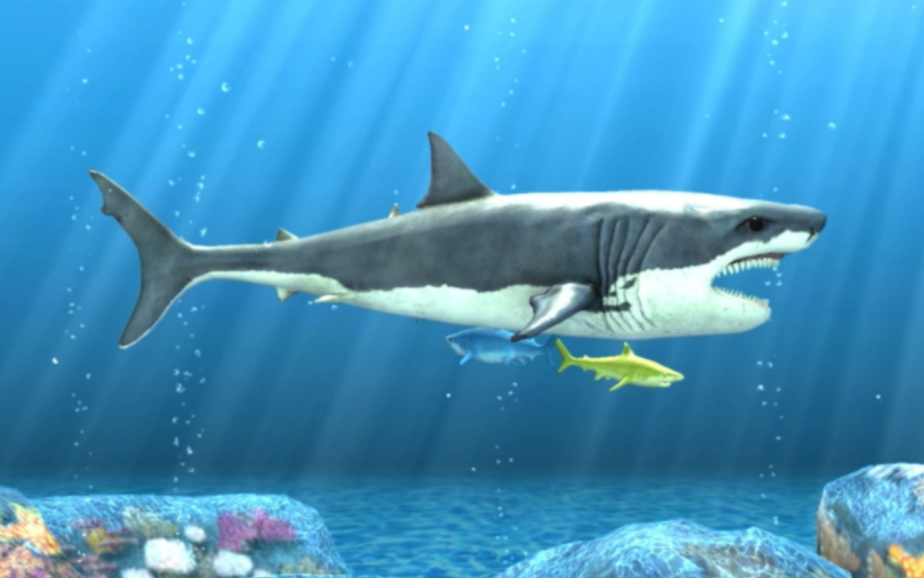 【解压游戏】great white shark breeding and shark encyclopedia