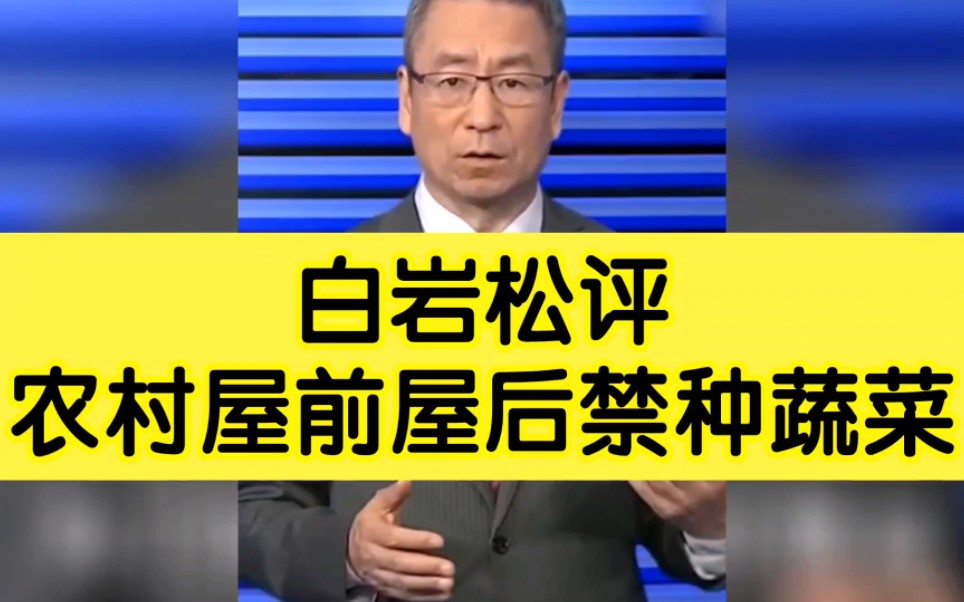 白岩松评农村房前屋后禁种蔬菜:创文明城市该拥有更文明的观念哔哩哔哩bilibili