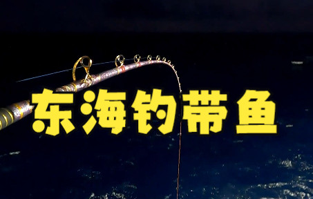 带大家看下东海钓带鱼的钓组是什么样的?用这种仕挂钓组一晚上钓了60多斤带鱼,从来没有一晚上钓这么多鱼,运气还是实力你们说哔哩哔哩bilibili