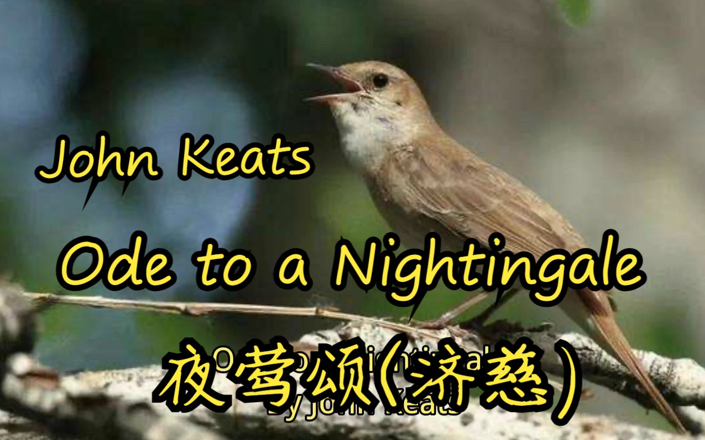 [图]Ode to a Nightingale 夜莺颂 （by John Keats）