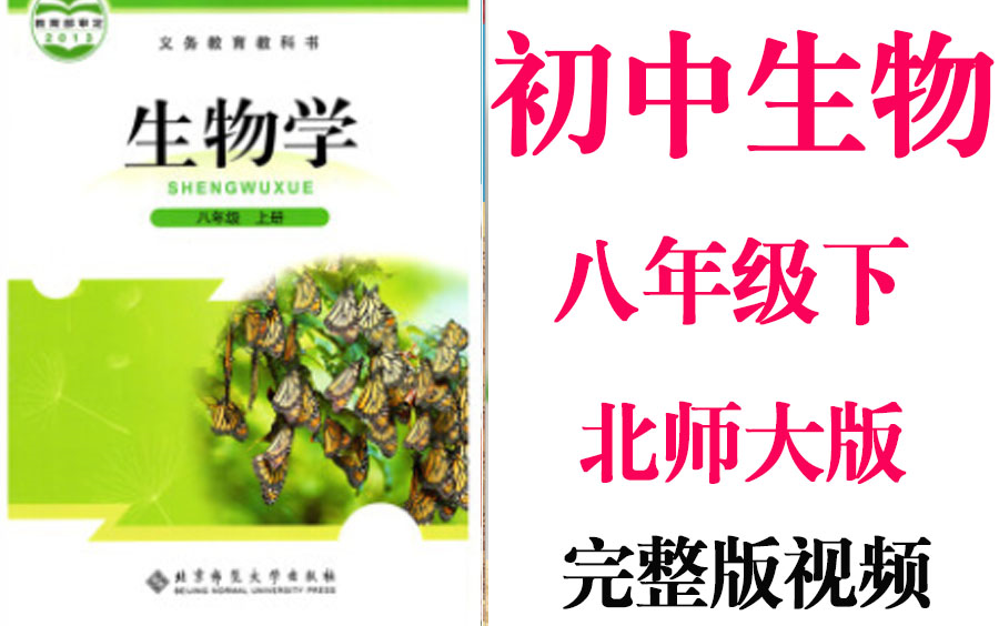 【初中生物】初二 八年级上册同步基础教材教学网课丨人教版 部编 统编 新课标 北师大上下册初2 8年级丨2021复习+学习完整最新版视频哔哩哔哩bilibili