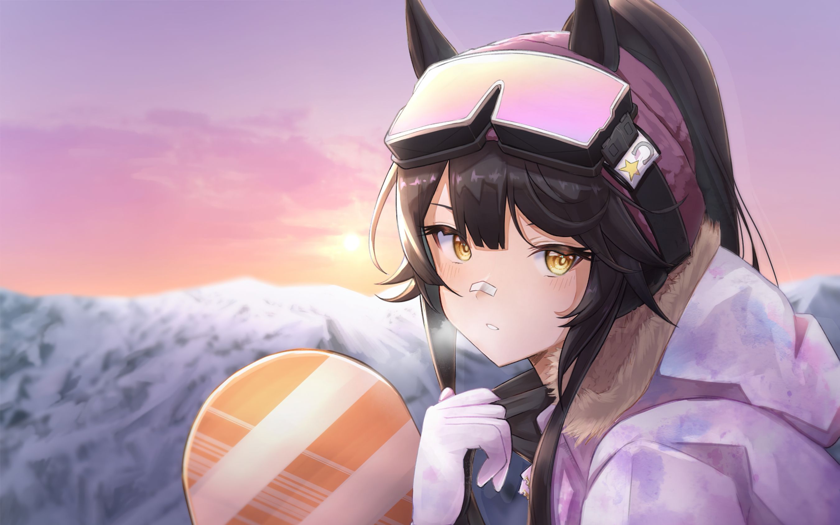 成田白仁赛马娘仁爹动静态指针内含自动安装infytber夜梦大佬制