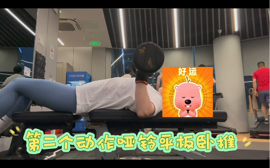 蝴蝶机夹胸哑铃平板哑铃上斜器械推胸俯卧撑五个动作.