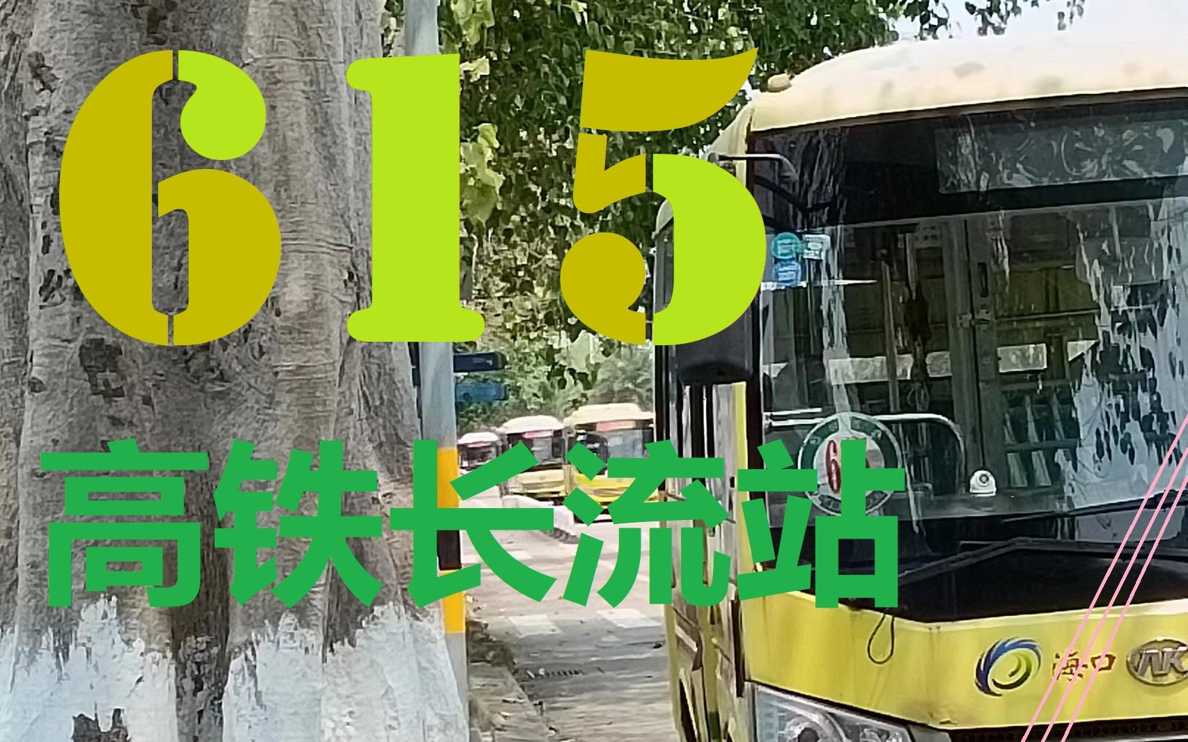 615路公交车图片