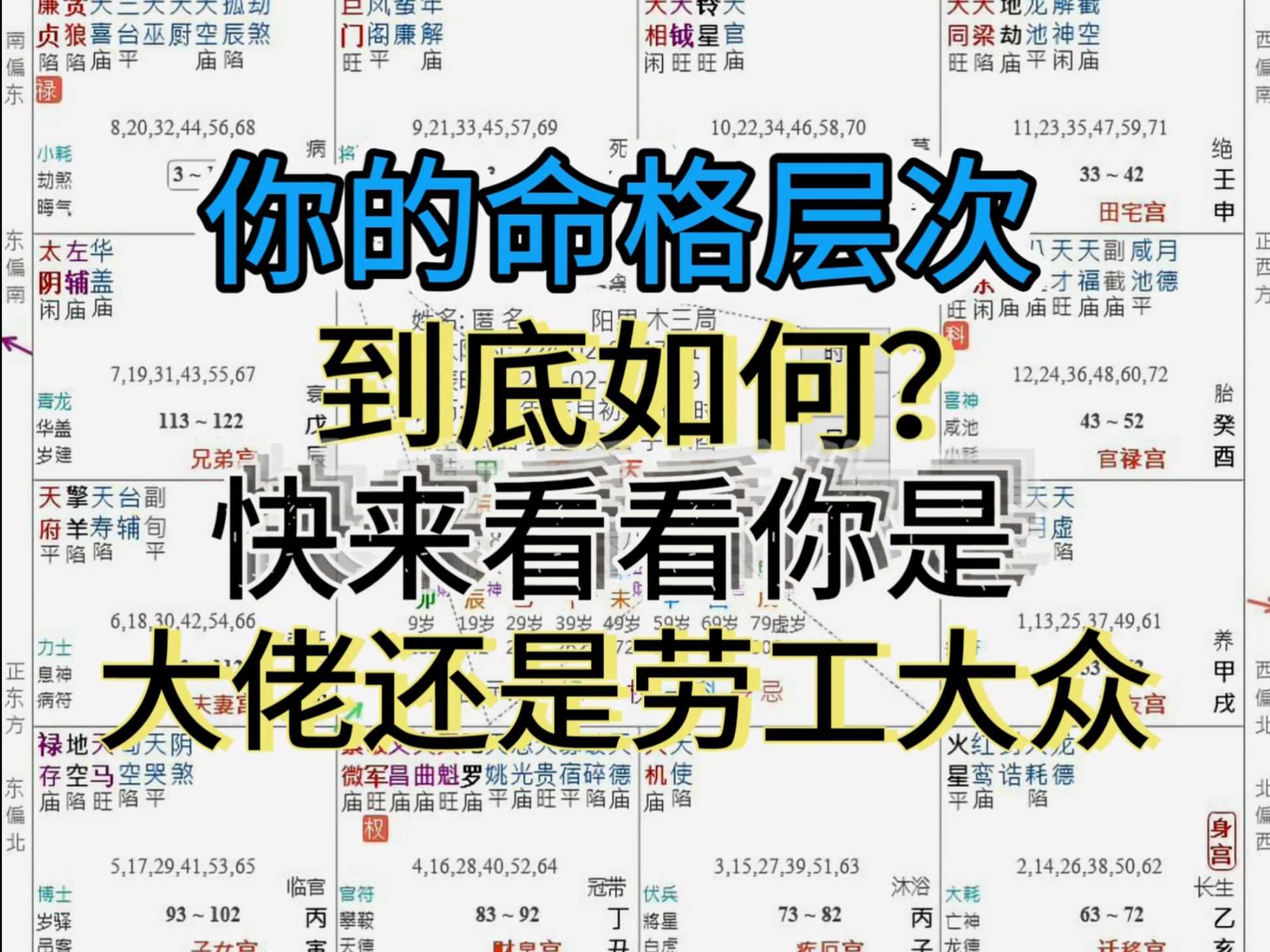 你的命格阶级怎么样?如何看?【紫微斗数】哔哩哔哩bilibili