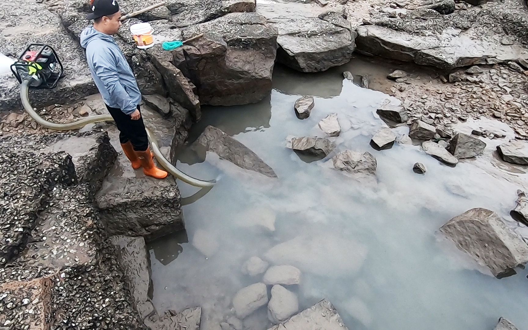 大熊大清早抬抽水机抽水坑,海货琳琅满目,真是早起的鸟儿有虫吃