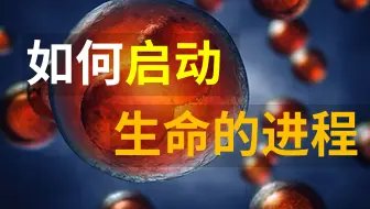 受精卵的基因表达是如何被开启的？