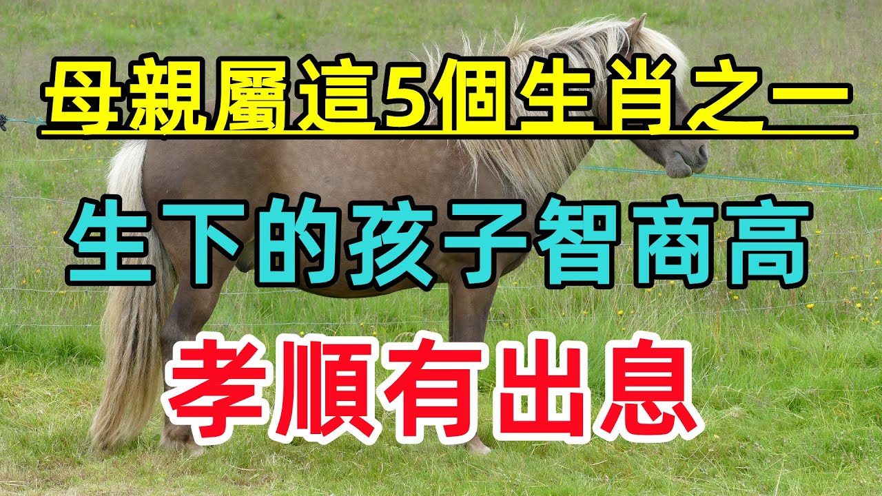 母亲属这5个生肖之一,生下的孩子智商极高,孝顺有出息!哔哩哔哩bilibili