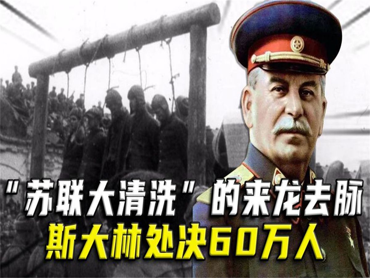 "苏联大清洗"的来龙去脉,斯大林处决60万人,这件事他做错了吗