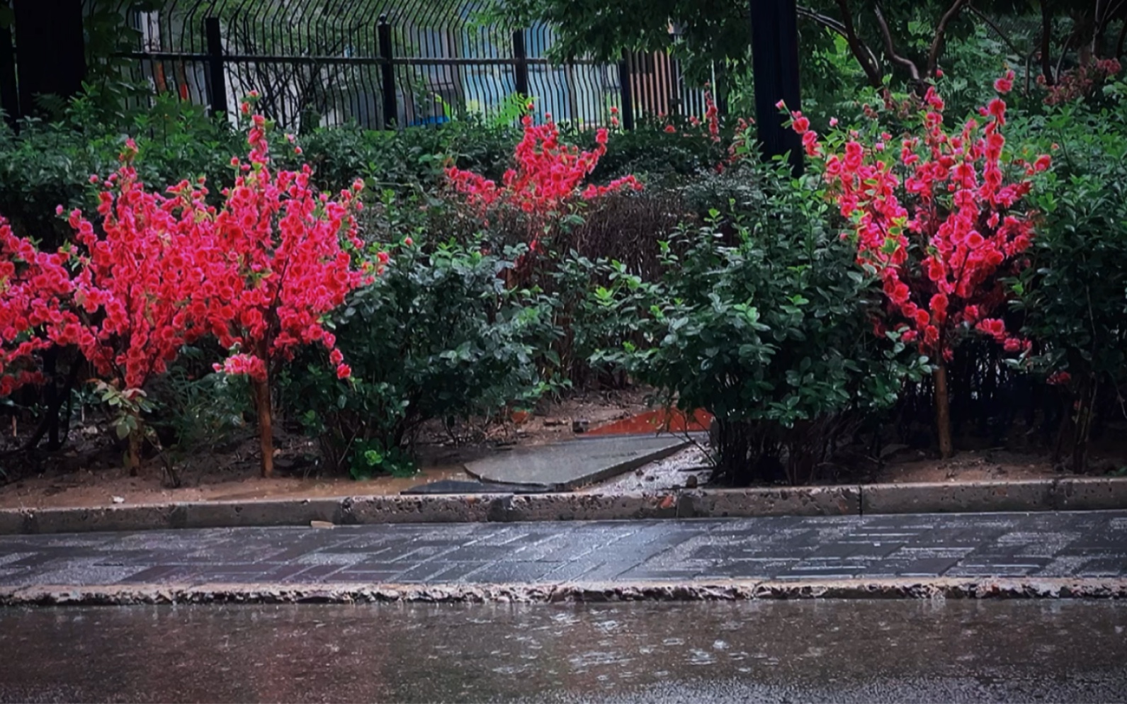 你的城市下雨了吗