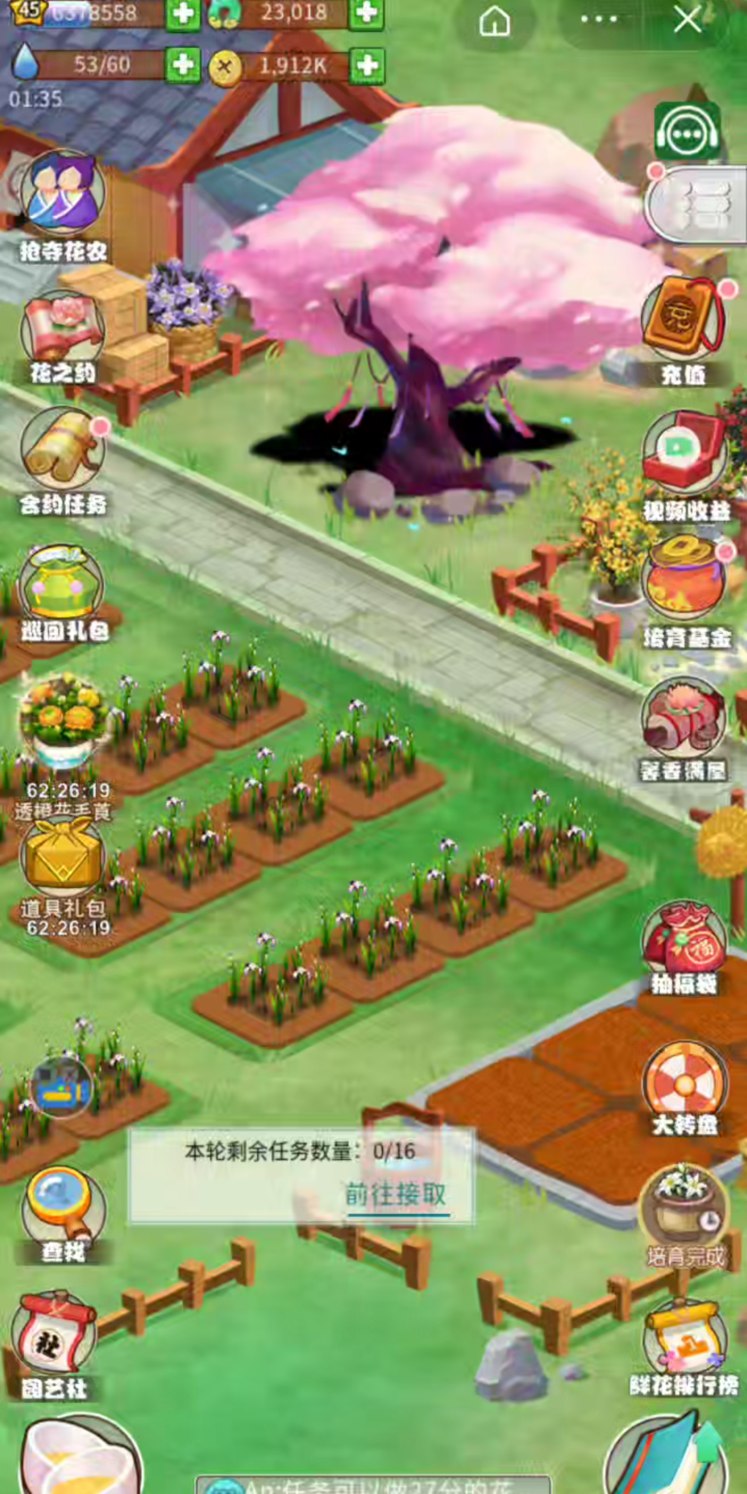 收获银珠花毛茛