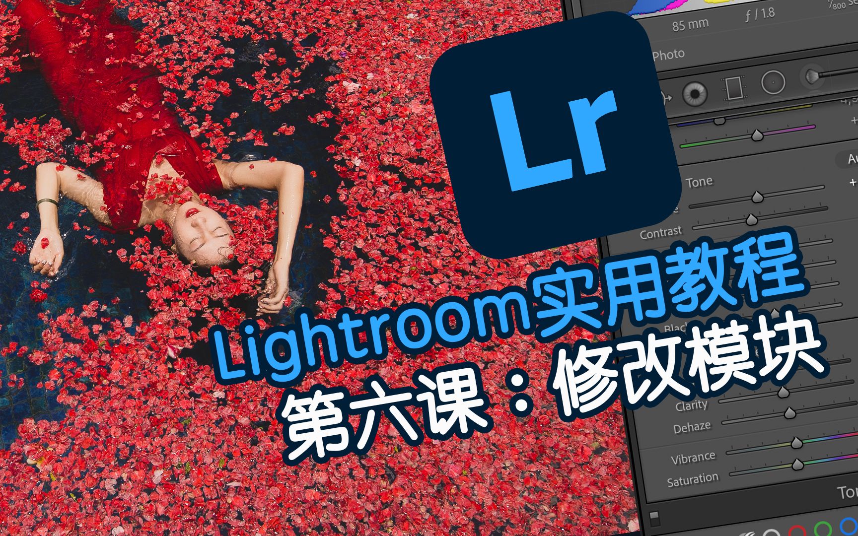 【Lightroom实用教程】第06课修改模块概览、快照与直方图哔哩哔哩bilibili