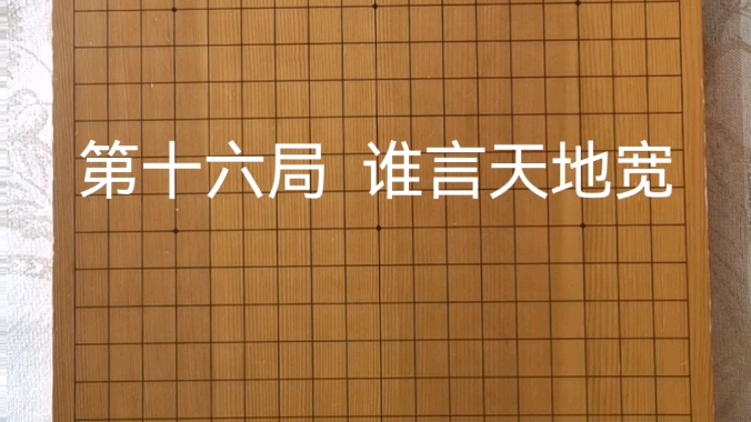 阿尔法围棋的惊世之旅:第十六局 谁言天地宽