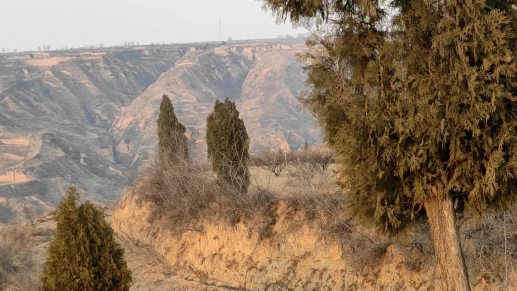 [图]澄城县白家圪崂美丽的风景