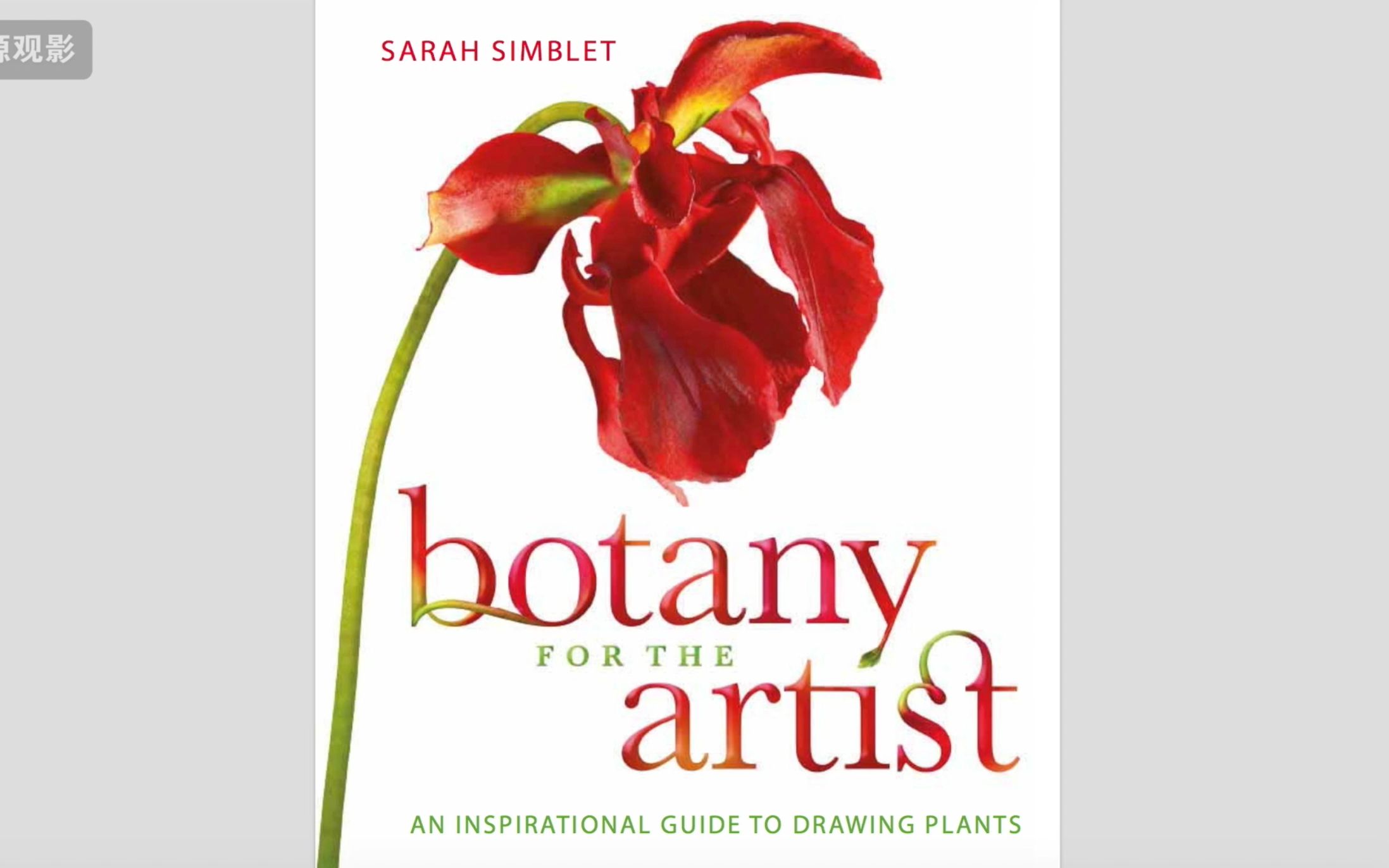 [图]艺术家的植物手绘Botany for the Artist