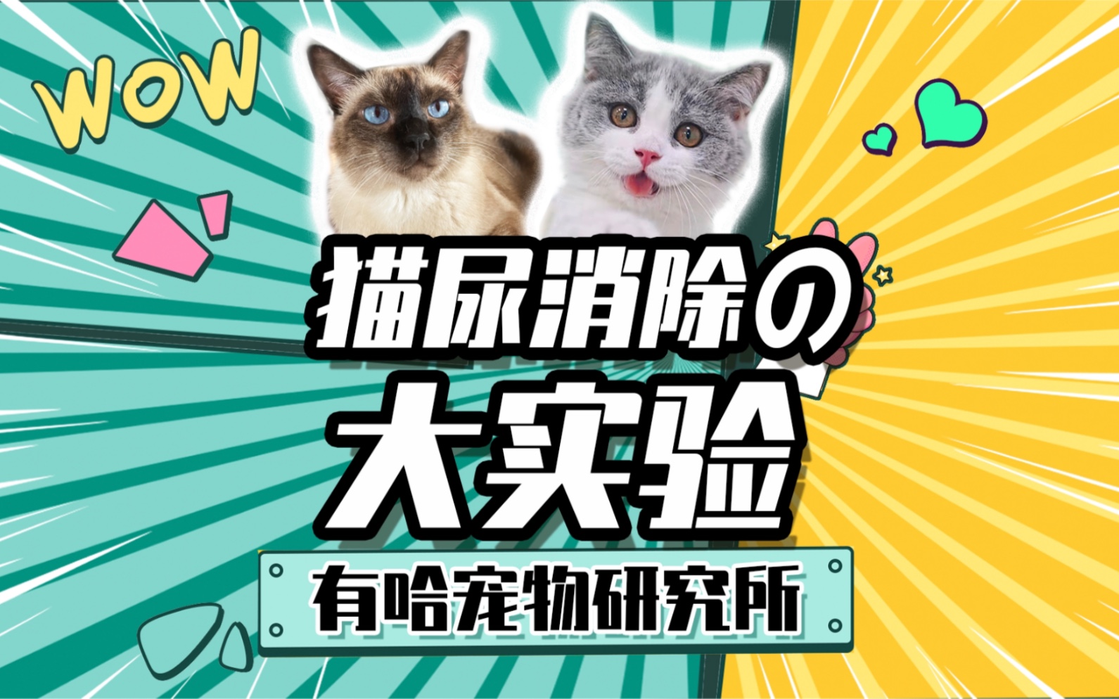 被猫尿过的床单要怎么处理?去渍产品的真实效果,都在这条啦.哔哩哔哩bilibili