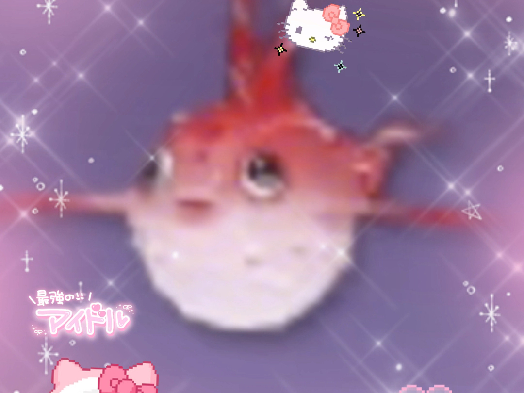 627809 跳跳豚重度依赖 007968