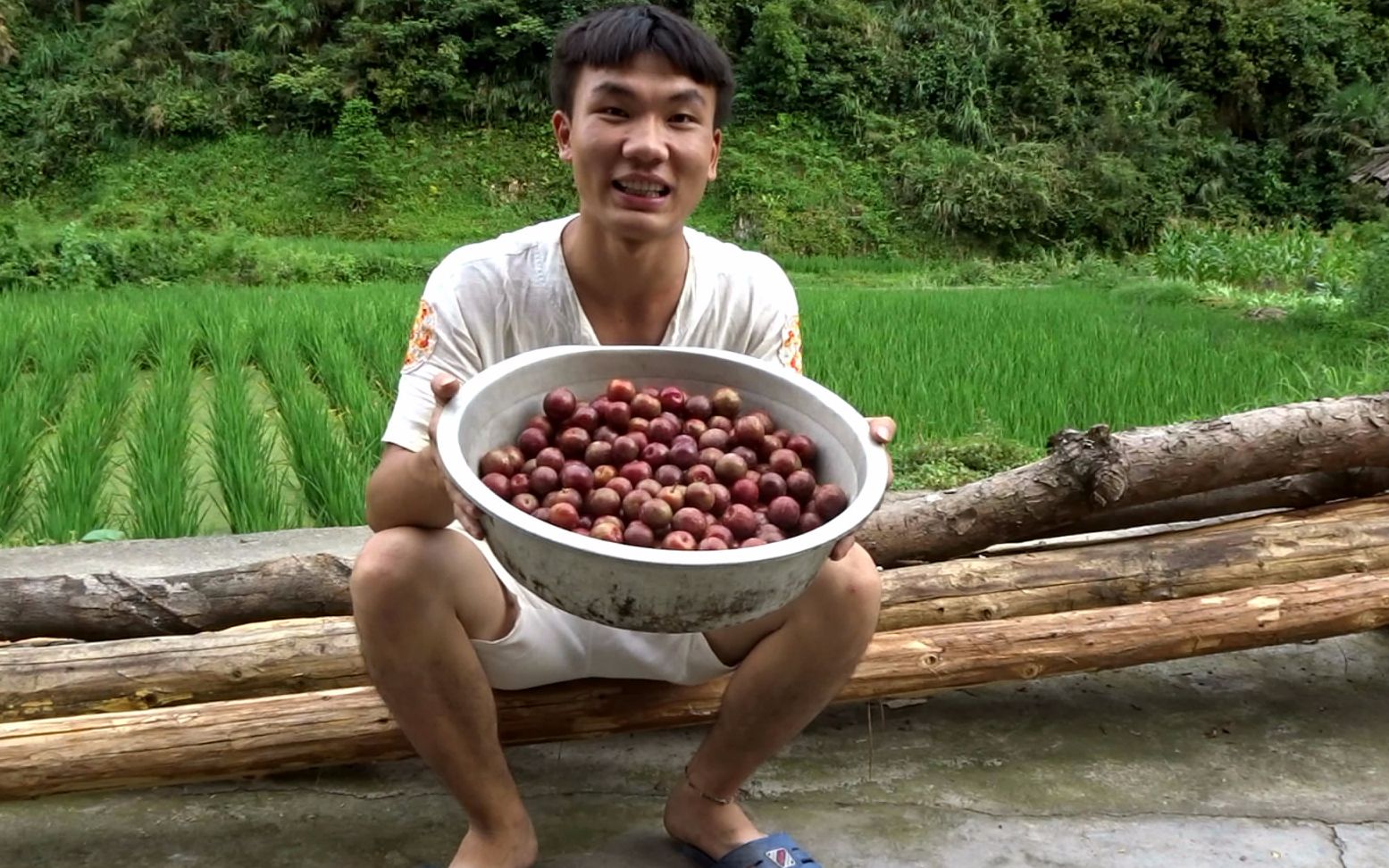 这是今年最后摘李子,妈妈上树打下来还是有这么多,真让人流口水_哔哩