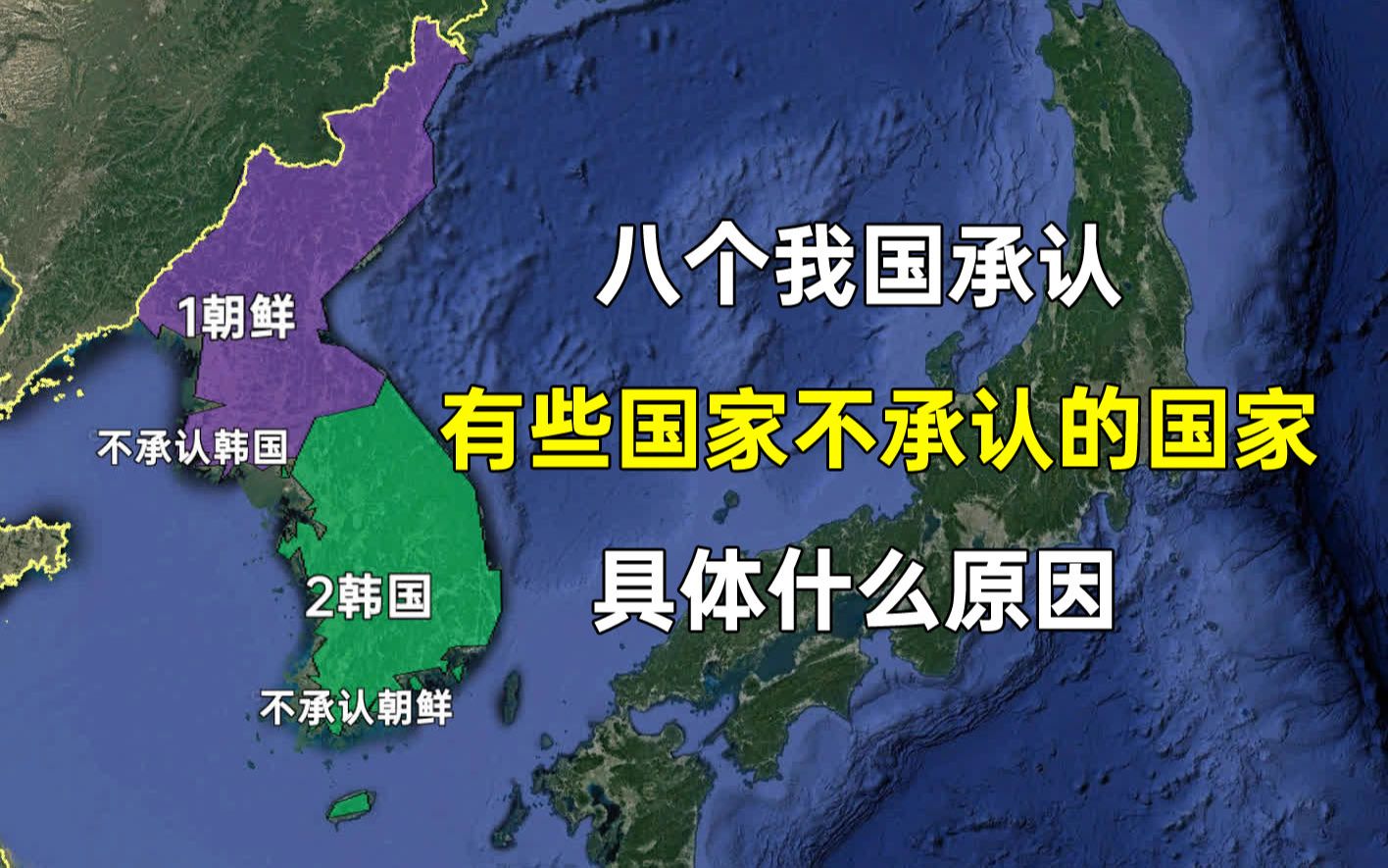 世界上八个我国承认,但有些国家不承认的国家.具体什么原因?哔哩哔哩bilibili