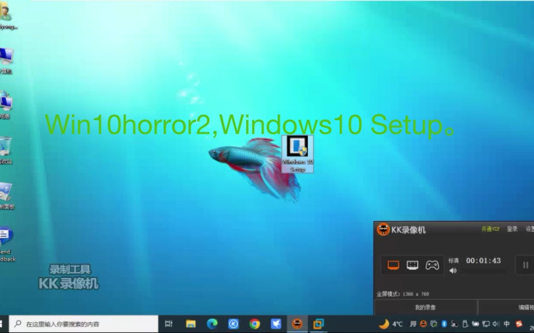 [图]另一个horror Windows10 Setup。