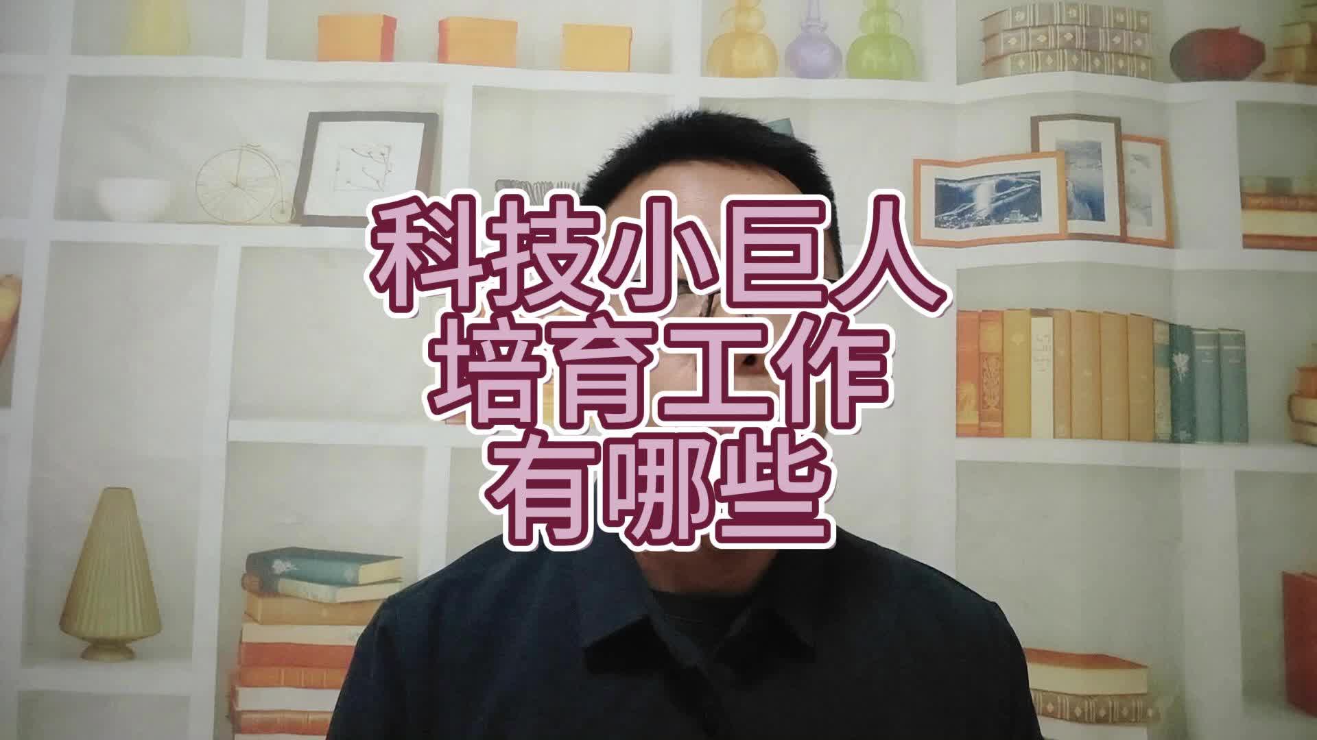 科技小巨人培育工作有哪些哔哩哔哩bilibili