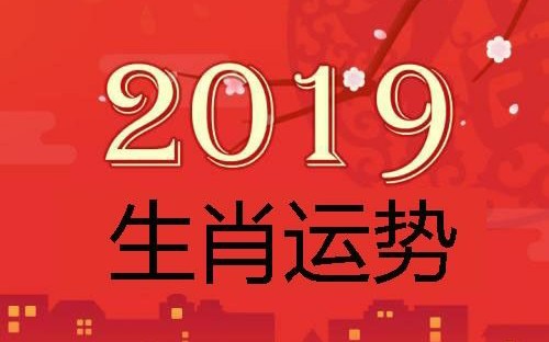 香港各大师ⷮŠ2019猪年十二生肖运程【司徒法正/麦玲玲/苏民峰/李居明/赵嘉宝等】(持续更新)哔哩哔哩bilibili