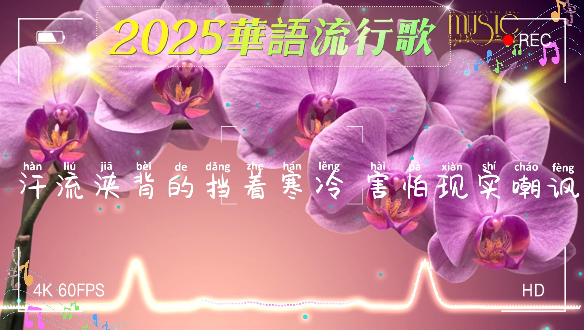 [图]2025華語流行歌🎀🎀大陸流行歌曲 2025流行歌曲🎈🎈50首精选歌 🎈🎈 等你等到白了头 _ 红尘情歌 _ 酒醉的蝴蝶 _ 可可托海的牧羊人_ 你