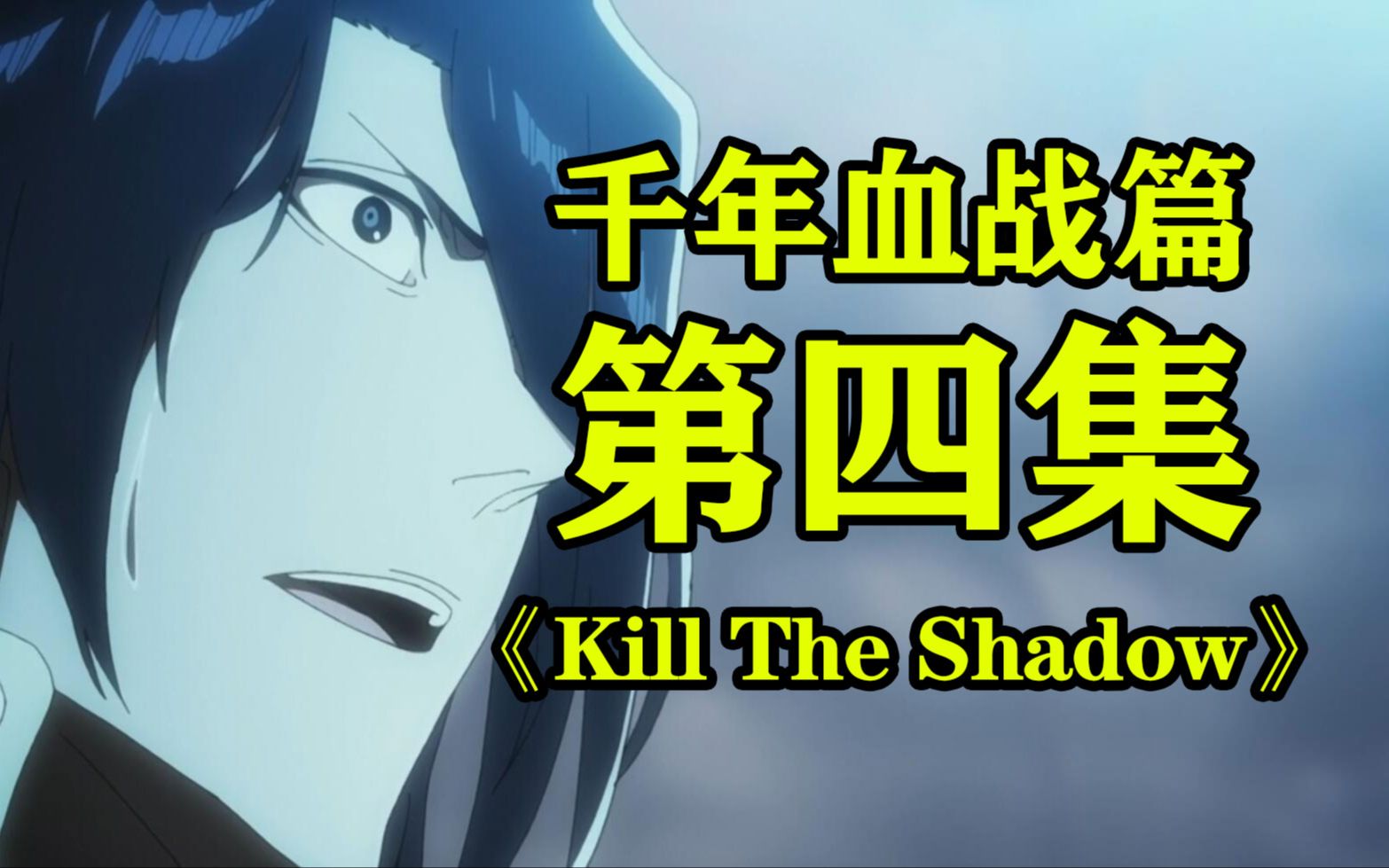 《人在里世界 千年血战》第四集 Kill The Shadow 队长被夺取卍解!伤亡千人!绝望笼罩尸魂界!一护准备前往尸魂界但是未成功!哔哩哔哩bilibili