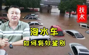 Descargar video: 如何最简单鉴别泡水车。怎么避免买到泡水车？