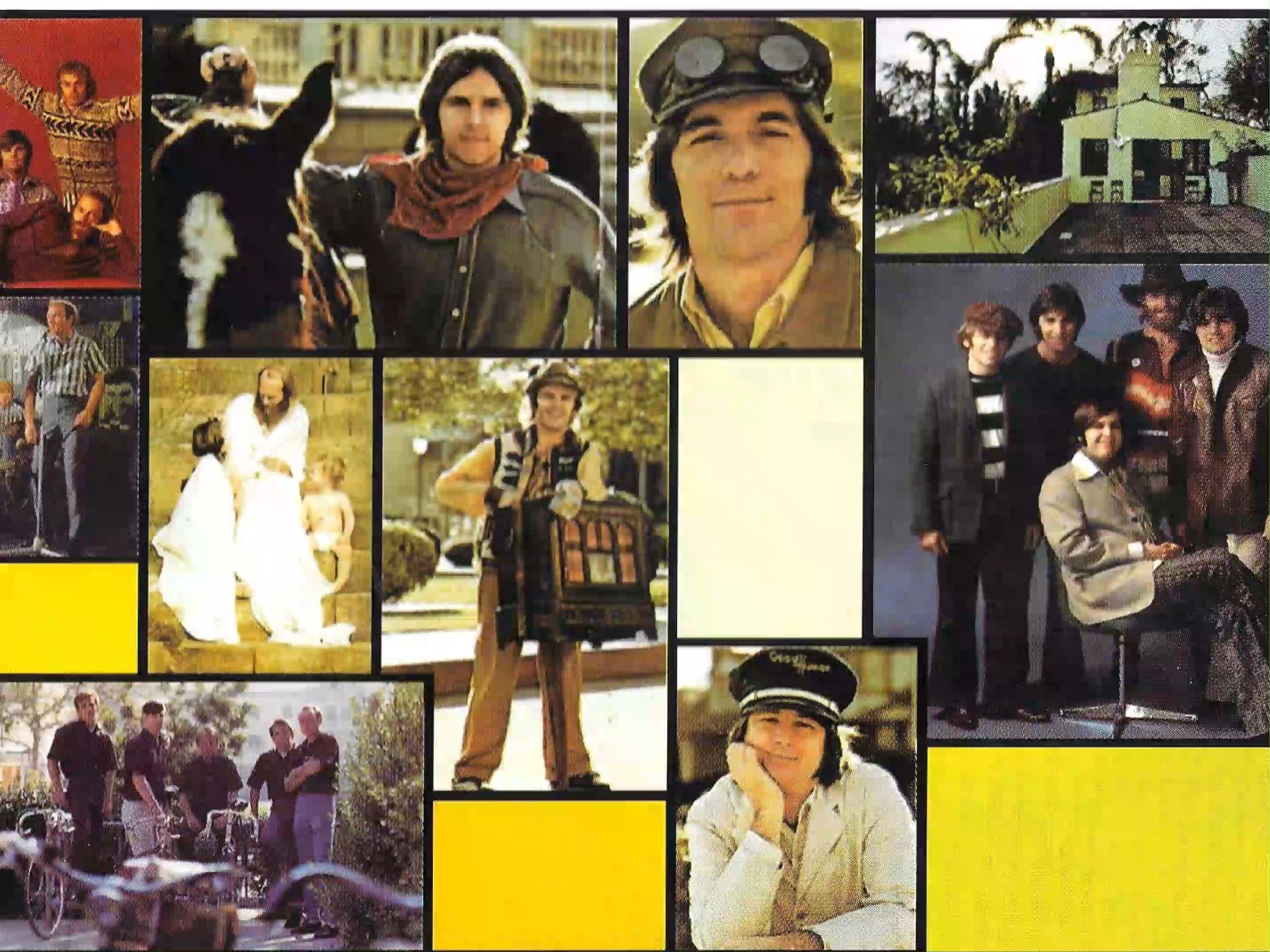 the beach boys - landlocked