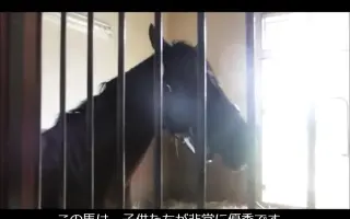 海外コスプレ 搜索结果 哔哩哔哩 Bilibili