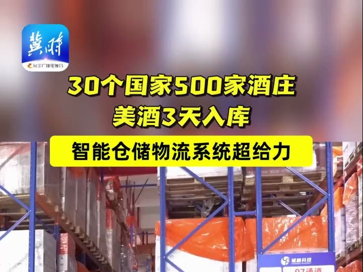 这里是廊坊|30个国家500家酒庄美酒3天入库!智能仓储物流系统超给力!哔哩哔哩bilibili