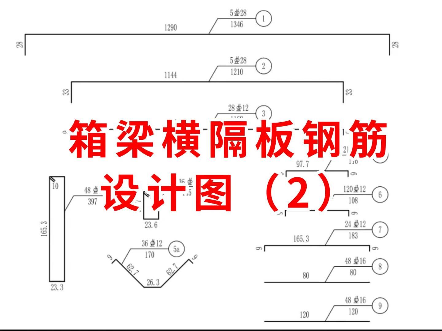 横隔板示意图图片