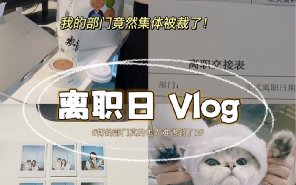 工作vlog|部门集体离职 年底被裁员了!!哔哩哔哩bilibili