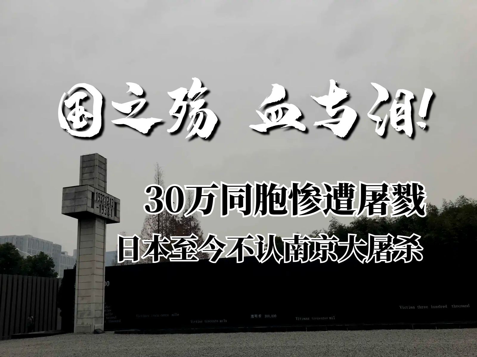 [图]国之殇，血与泪！30万同胞惨遭屠戮，日本至今不认南京大屠杀