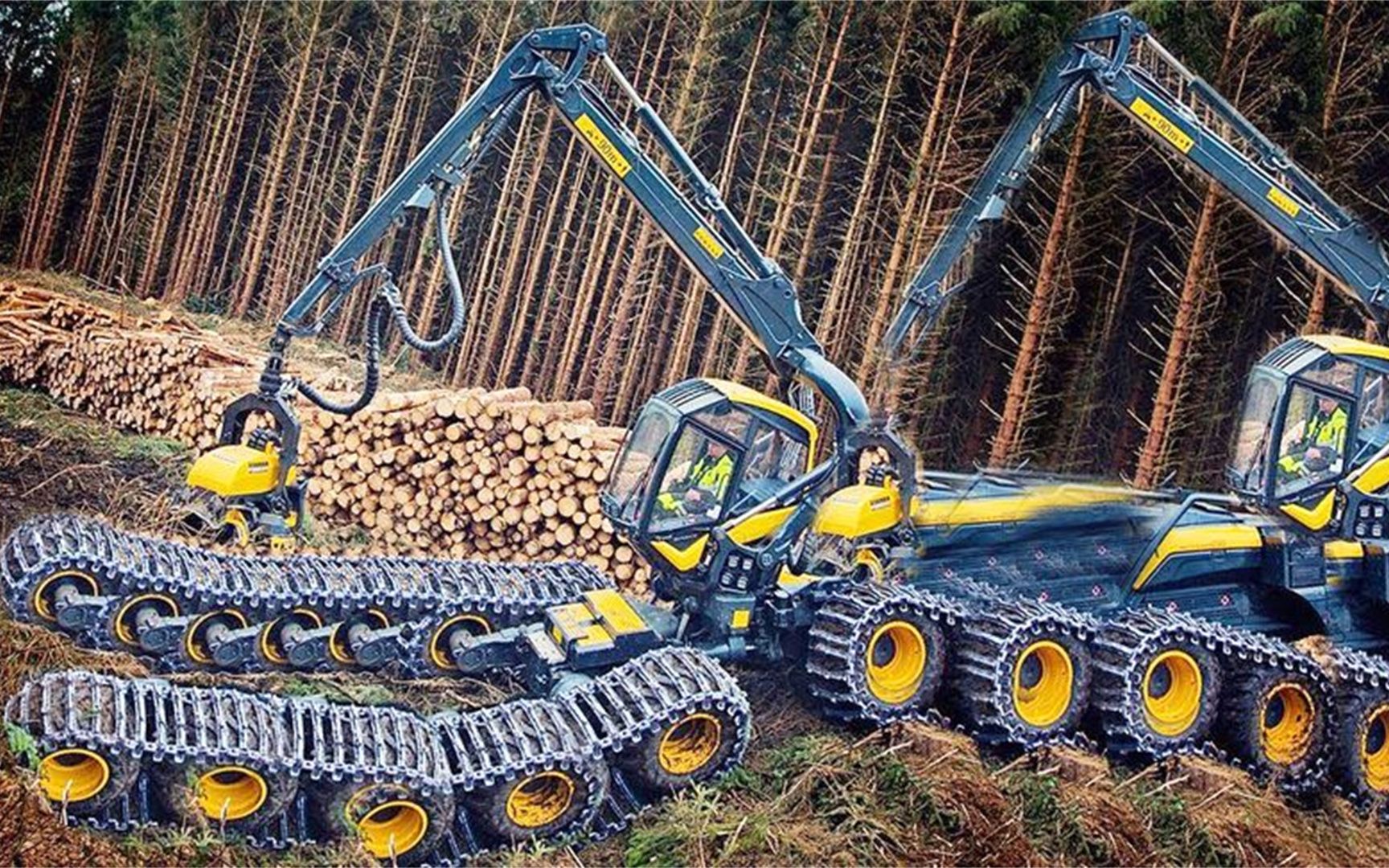 德国制造的伐木机械来得太猛了!几秒钟就砍掉一棵树