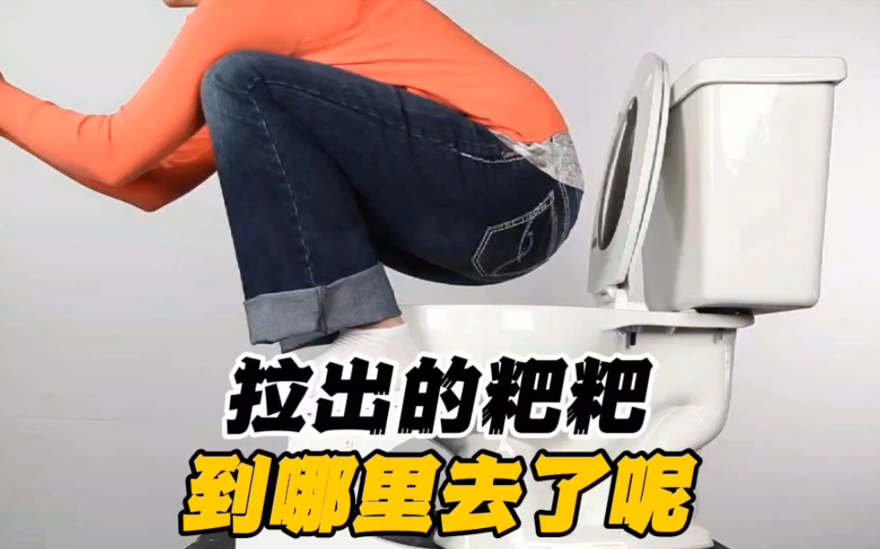 拉出去的粑粑到哪里去了,你知道吗?