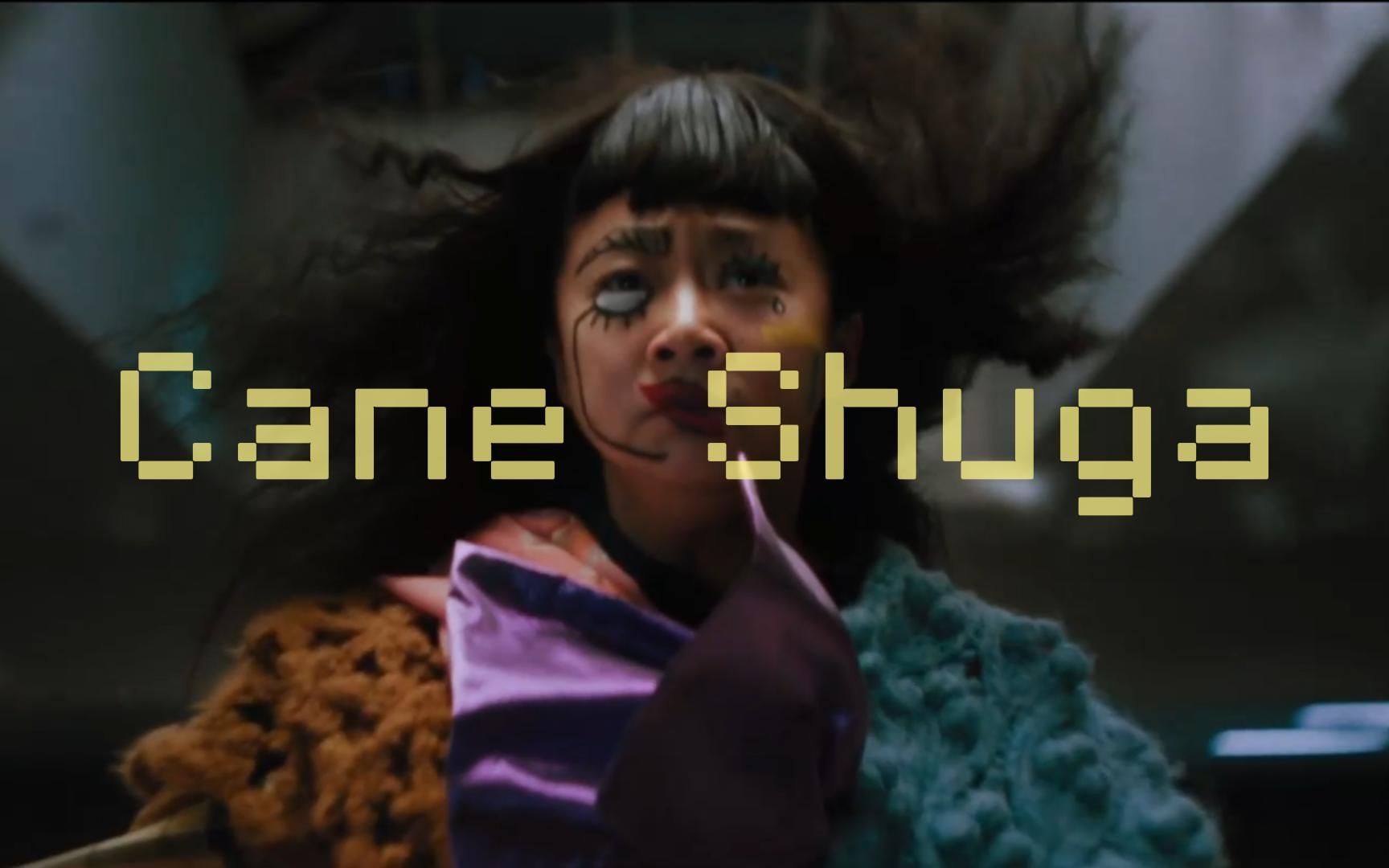 【瞬息全宇宙】妈妈，放我走。| Cane Shuga