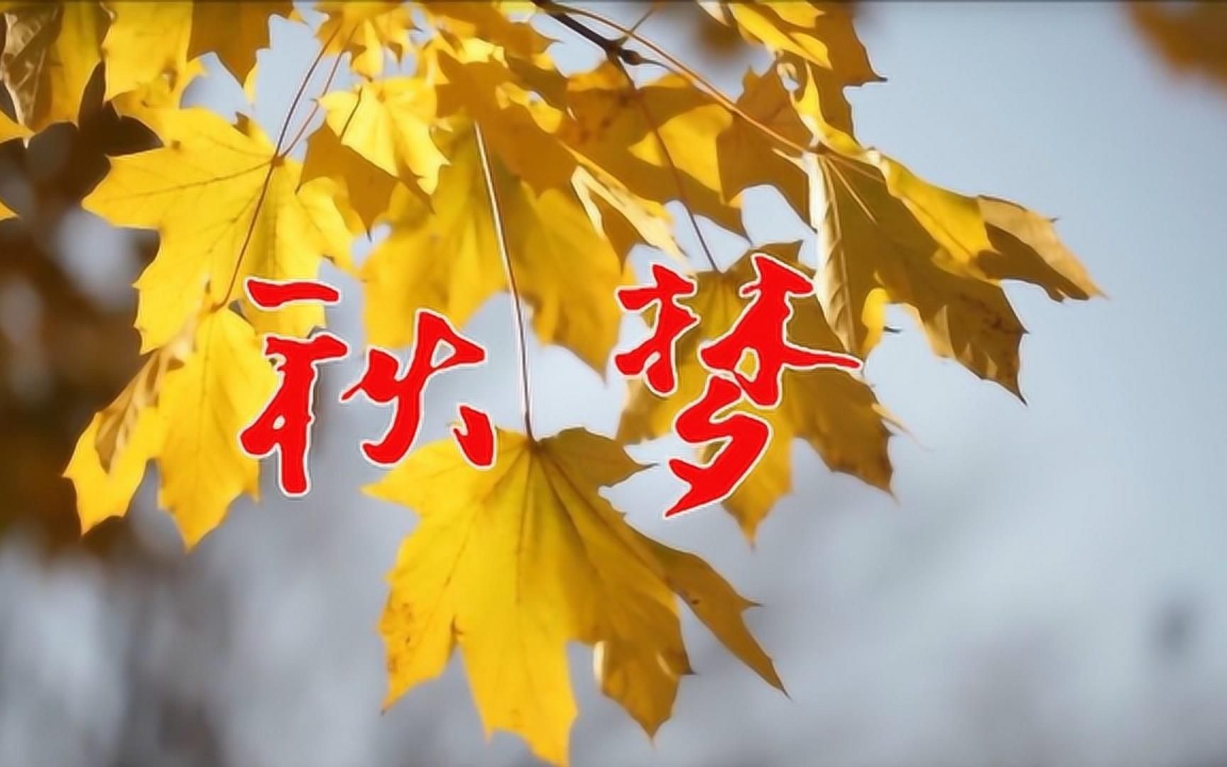 一首纯音乐《秋梦》,优雅抒情!美不胜收!