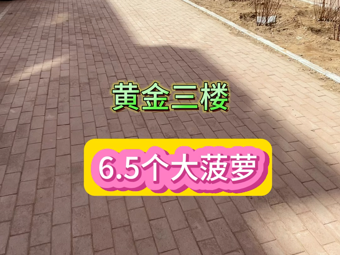 辽宁阜新市新邱区益民小区黄金3楼55平6.5个大菠萝大产权能过户哔哩哔哩bilibili