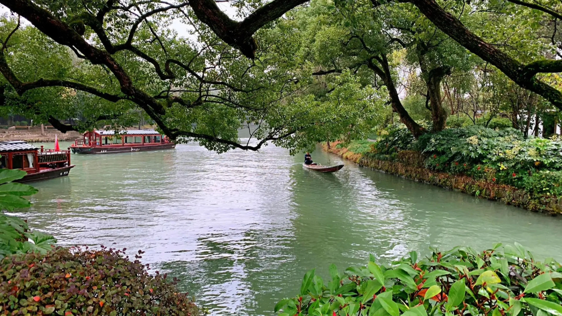 杭州西溪湿地游记图片