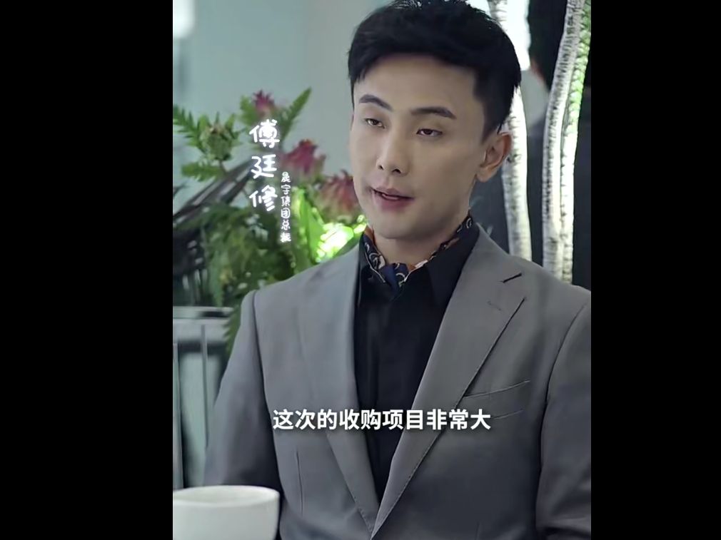 闪婚后傅先生马甲藏不住了